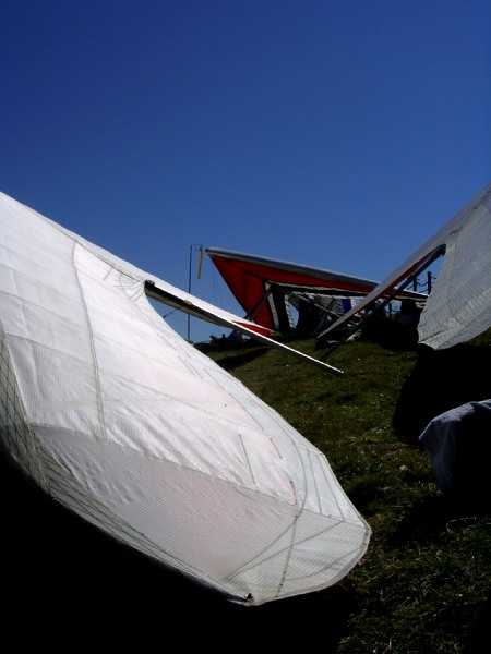 Enlarge Img2410_Francoise_Patry.JPG