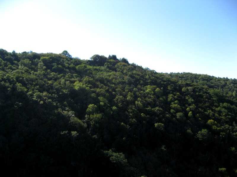 Enlarge Picturen149_British_team.jpg