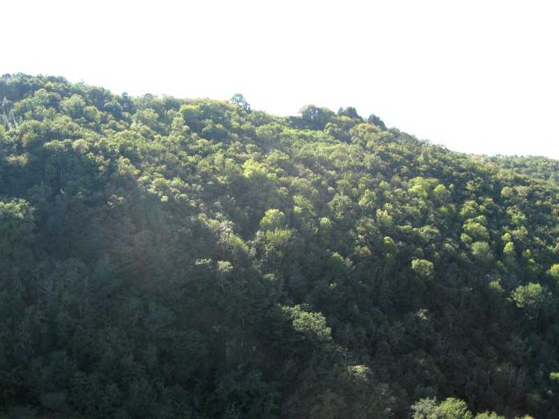 Enlarge Picturen150_British_team.jpg