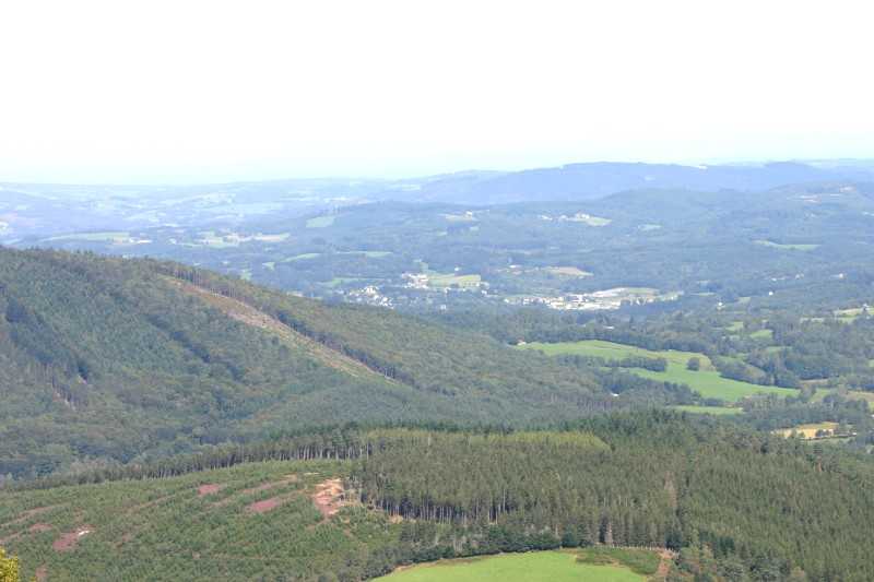 Enlarge Picture007_British_teaml.jpg