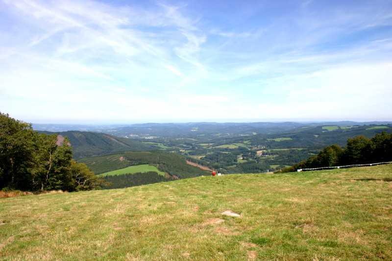 Enlarge Picture010_British_teaml.jpg