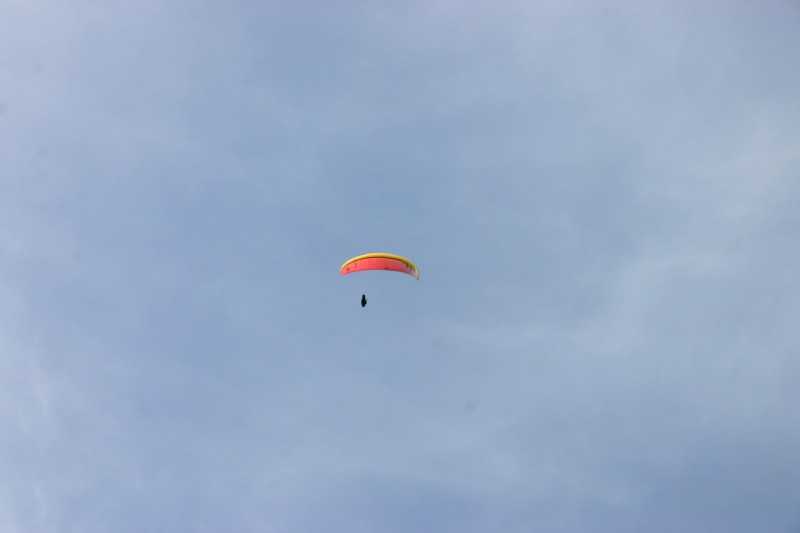 Enlarge Picture016_British_teaml.jpg