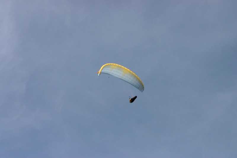 Enlarge Picture017_British_teaml.jpg