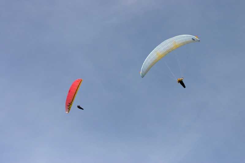 Enlarge Picture028_British_teaml.jpg