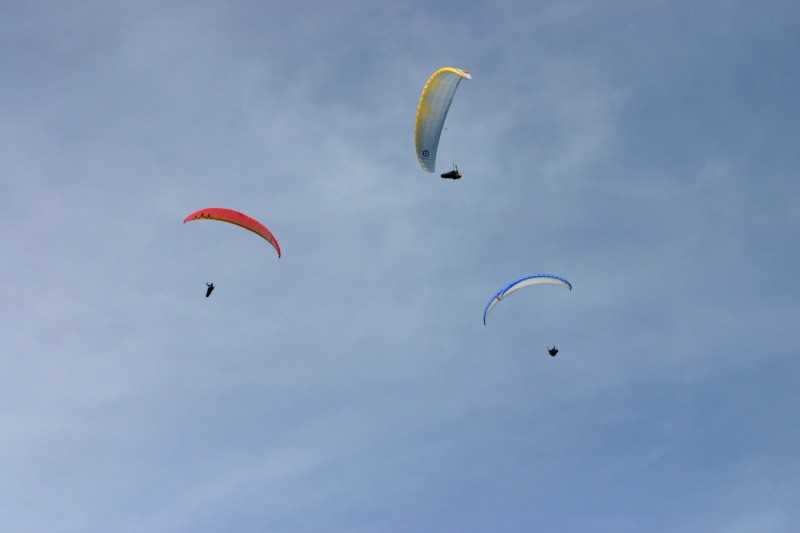 Enlarge Picture037_British_teaml.jpg