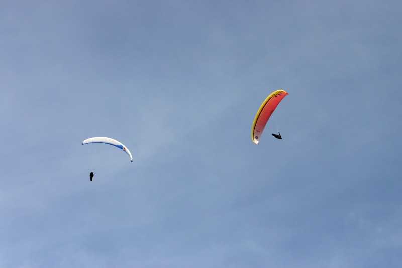 Enlarge Picture043_British_teaml.jpg