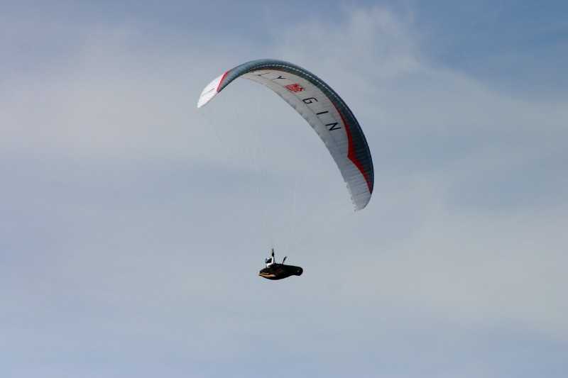 Enlarge Picture051_British_teaml.jpg