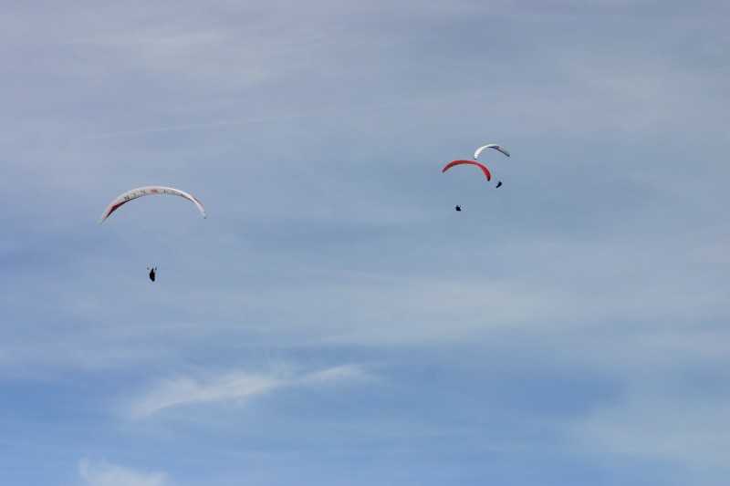 Enlarge Picture055_British_teaml.jpg