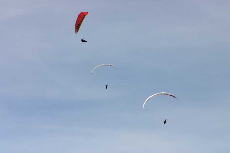 Enlarge Picture058_British_teaml.jpg