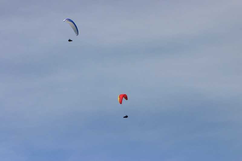 Enlarge Picture064_British_teaml.jpg