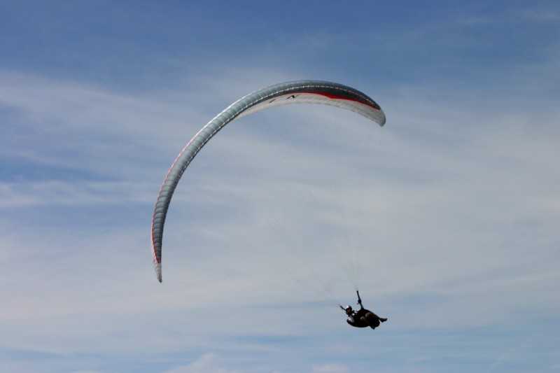 Enlarge Picture073_British_teaml.jpg