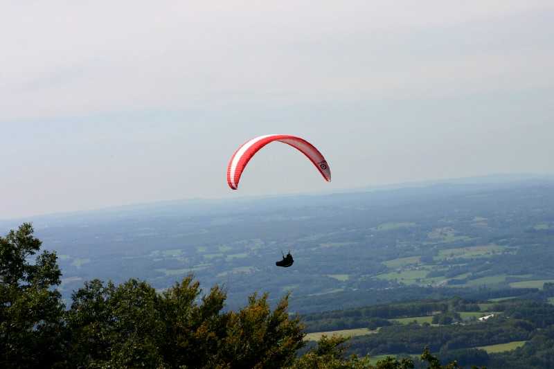 Enlarge Picture080_British_teaml.jpg