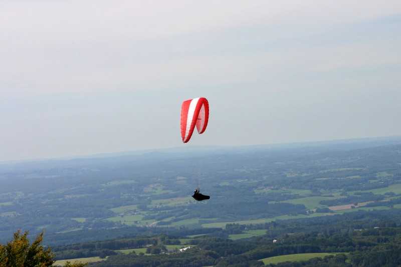 Enlarge Picture082_British_teaml.jpg