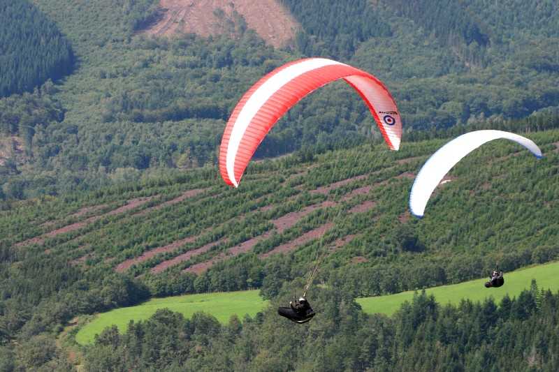 Enlarge Picture098_British_teaml.jpg