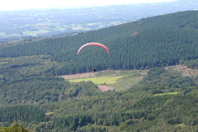 Enlarge Picture099_British_teaml.jpg