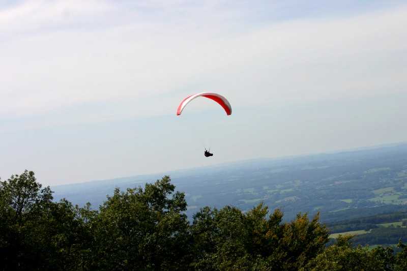 Enlarge Picture100_British_teaml.jpg