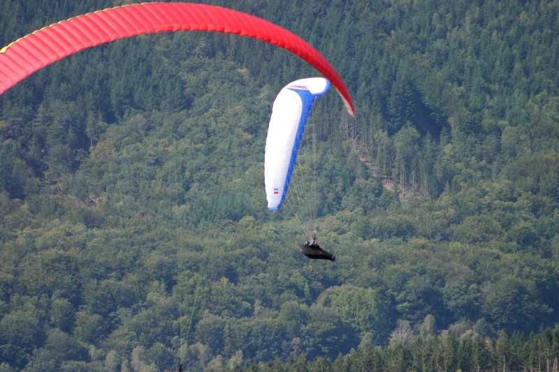 Enlarge Picture107_British_teaml.jpg