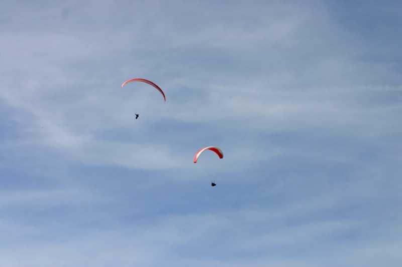 Enlarge Picture112_British_teaml.jpg