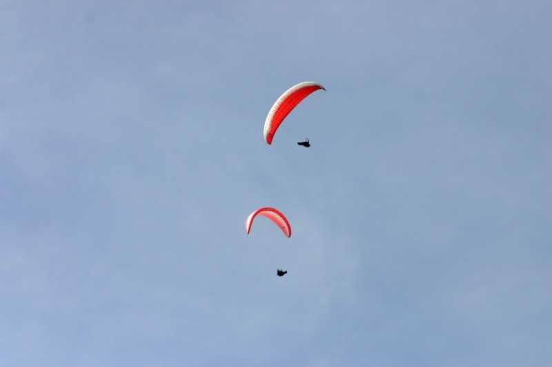 Enlarge Picture114_British_teaml.jpg