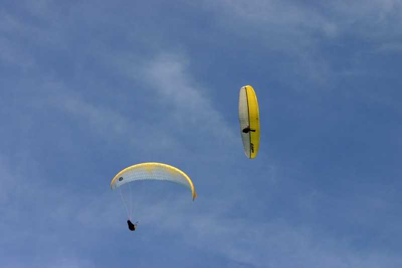 Enlarge Picture121_British_teaml.jpg