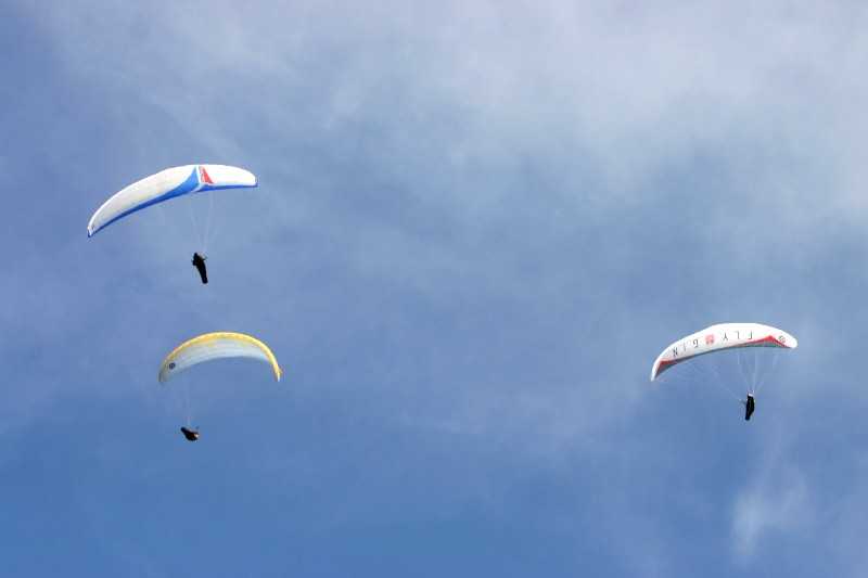 Enlarge Picture124_British_teaml.jpg