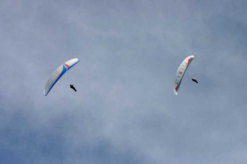 Enlarge Picture126_British_teaml.jpg