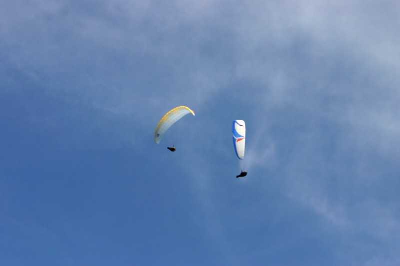 Enlarge Picture127_British_teaml.jpg