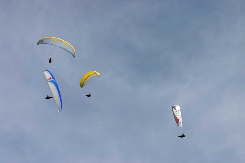 Enlarge Picture128_British_teaml.jpg