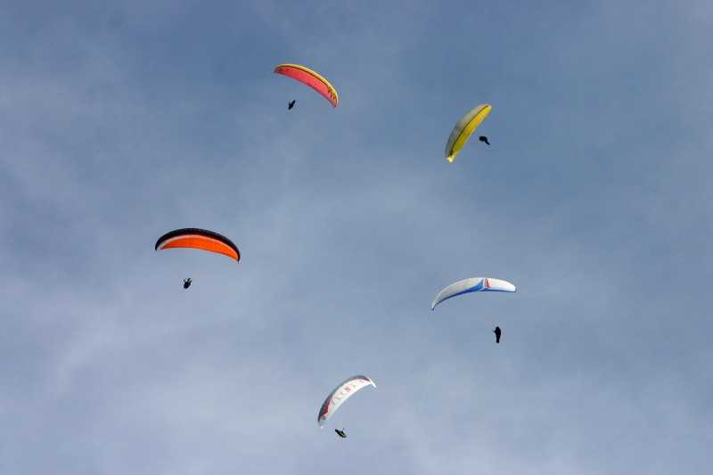 Enlarge Picture130_British_teaml.jpg