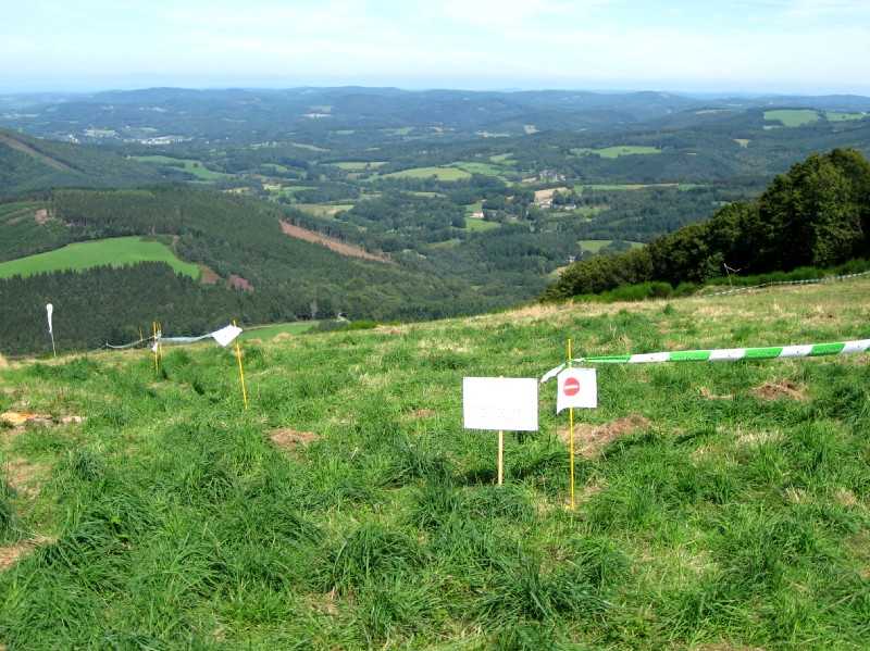 Enlarge Picture134_British_teaml.jpg