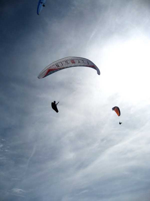 Enlarge Picture164_British_teaml.jpg