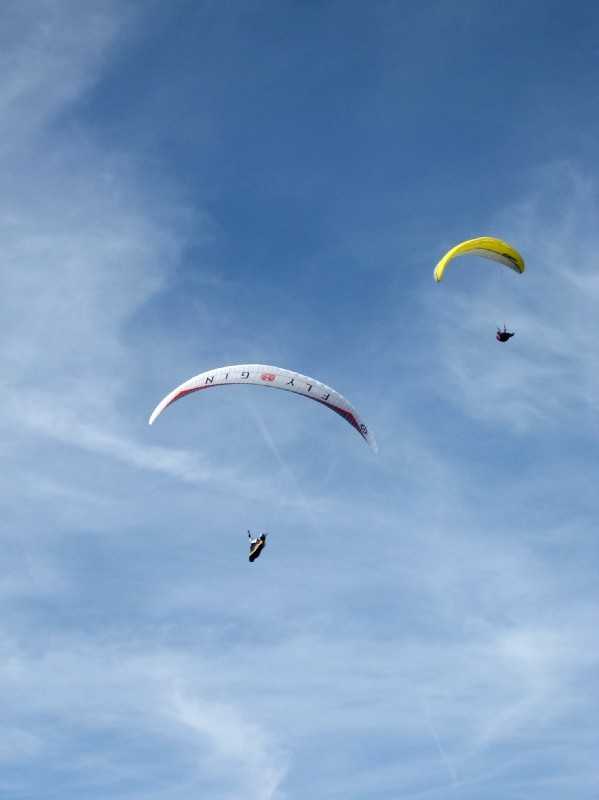 Enlarge Picture165_British_teaml.jpg