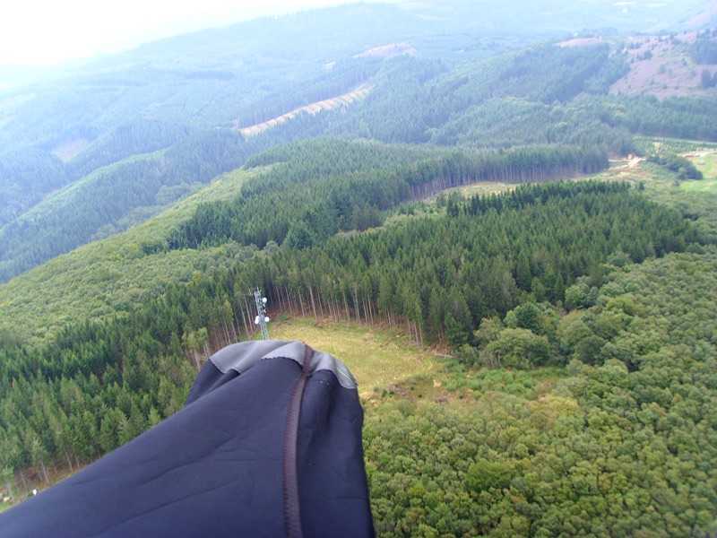 Enlarge moretrees_British_team.jpg