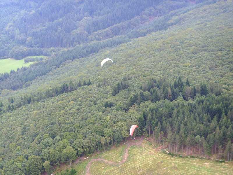 Enlarge trees_British_team.jpg