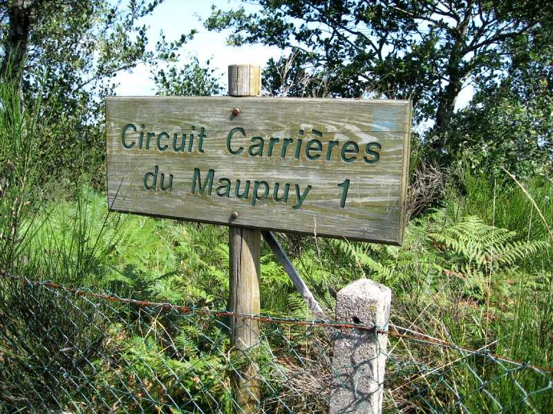 Enlarge Picture102_British_team.jpg