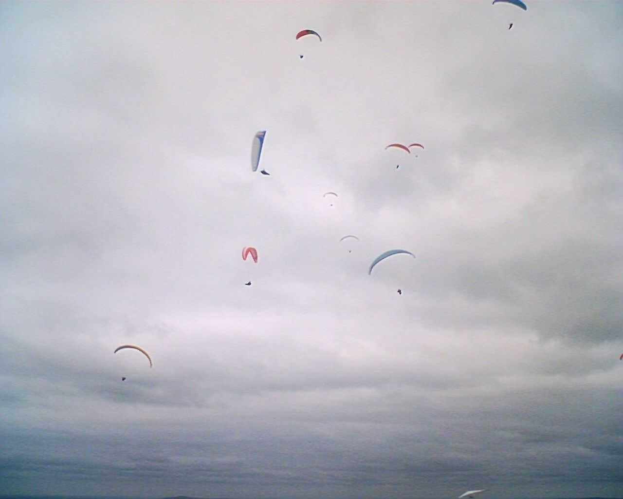 Enlarge HPIM0163_Philippe_Cardot.jpg