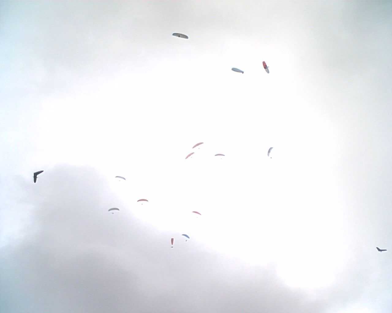 Enlarge HPIM0165_Philippe_Cardot.jpg