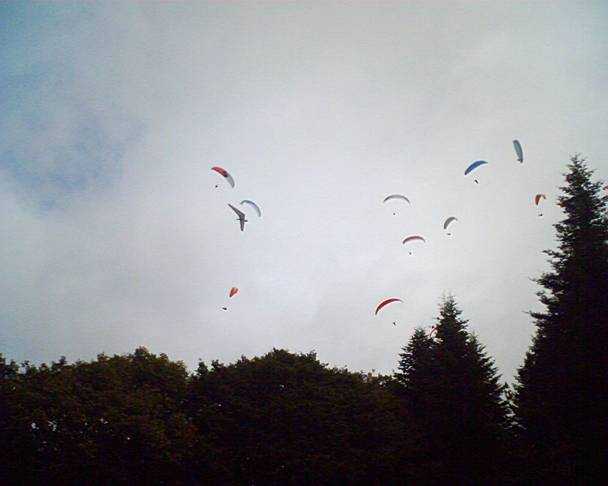 Enlarge image001_Philippe_Cardot.jpg