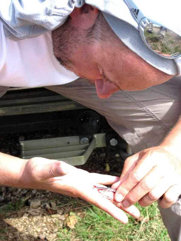 Enlarge Picture093_British_team.jpg