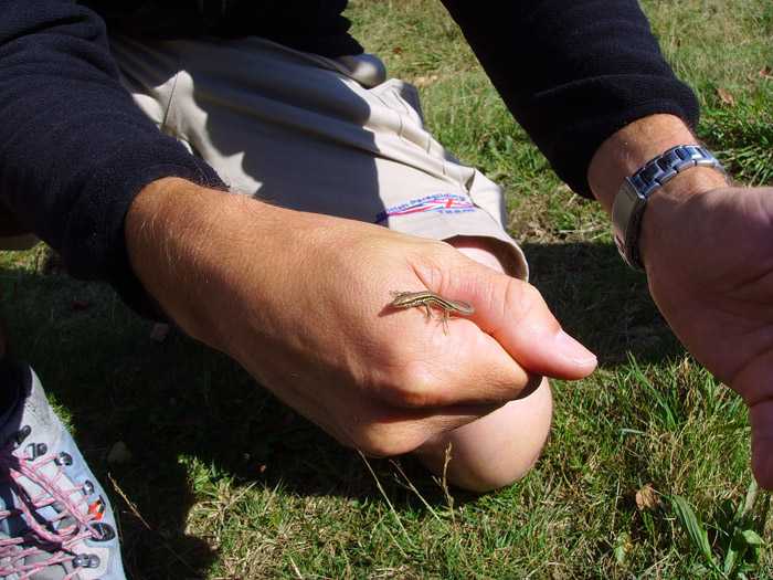 Enlarge john2_British_team.jpg