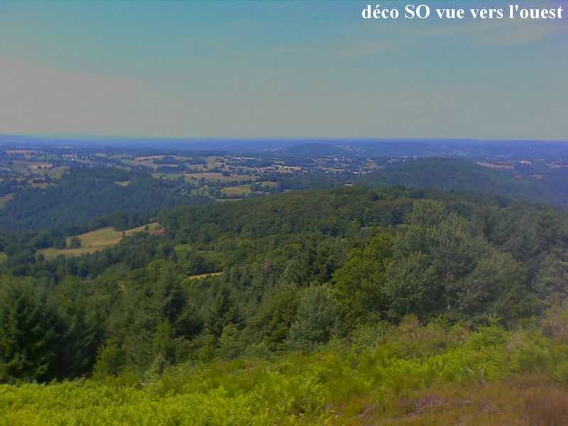 Enlarge IMAGE_733.jpg