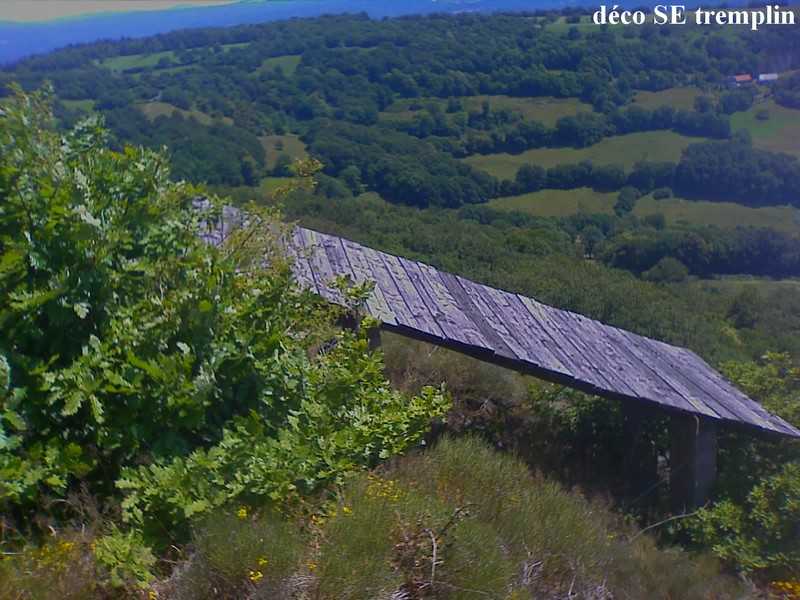 Enlarge IMAGE_742.jpg