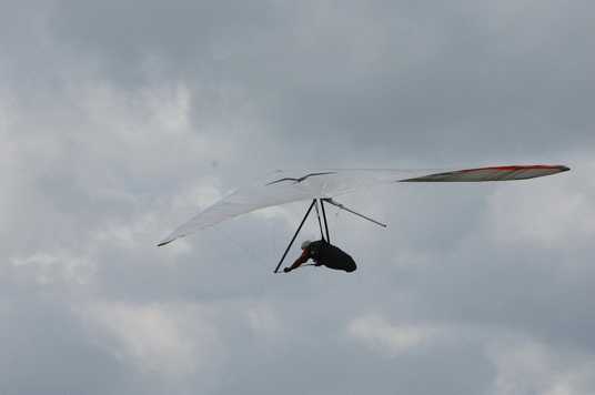 Enlarge DSC_0082.JPG