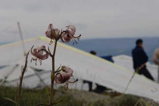 Enlarge DSC_0003.JPG