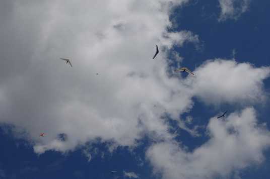 Enlarge DSC_0104.JPG