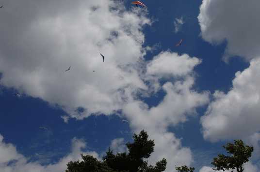 Enlarge DSC_0105.JPG