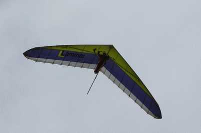 Enlarge DSC_0119.JPG