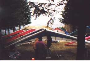 Enlarge selec1-1.jpg