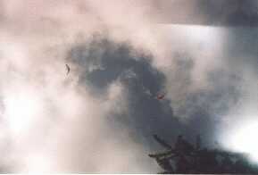 Enlarge selec1-3.jpg