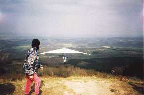 Enlarge selec1-5.jpg